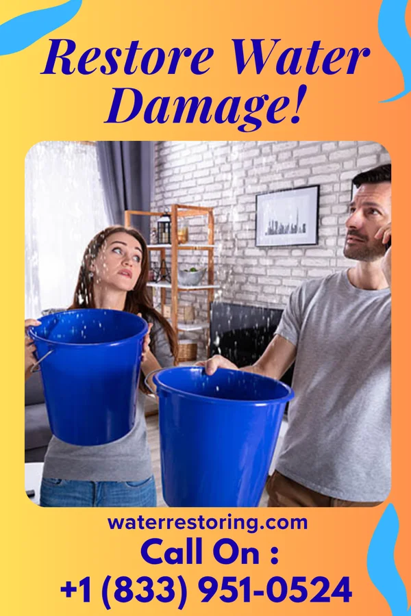 water restoration Pro Water Damage Authority Fairview