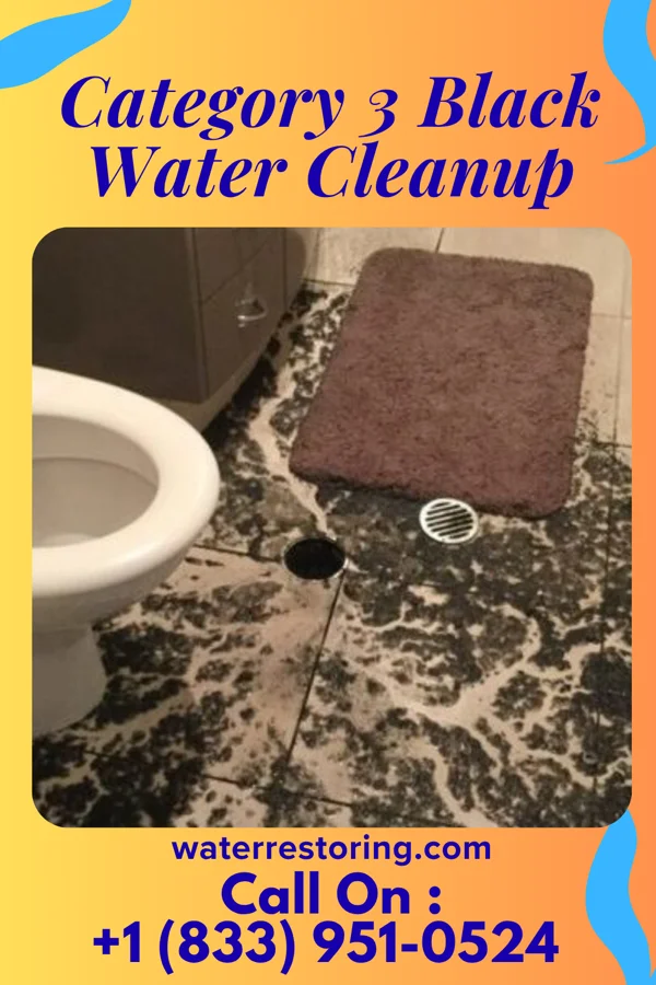 Category 3 Black Water Cleanup in Fairview, WV