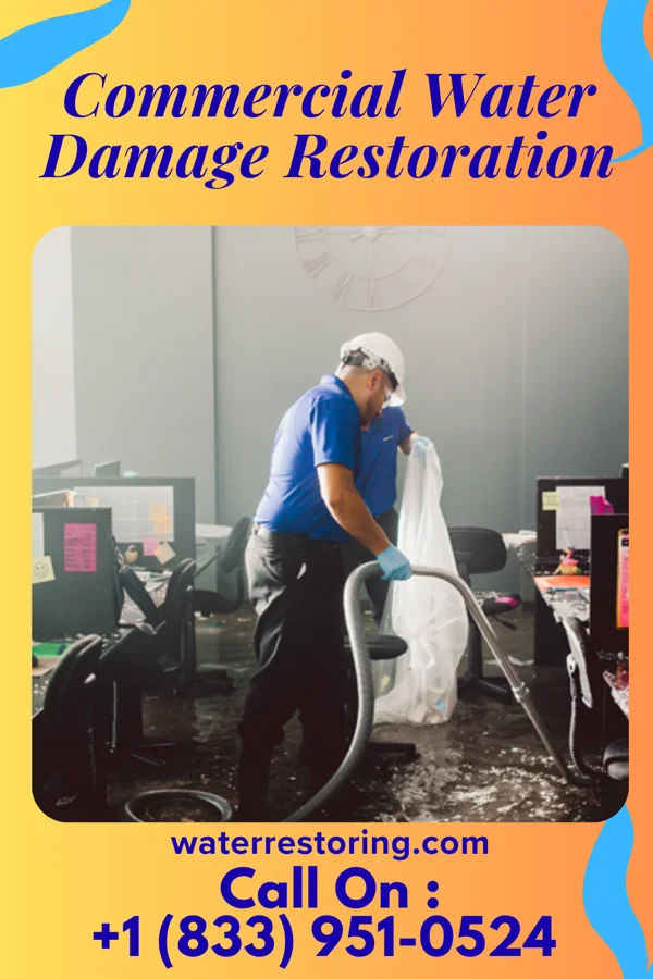 Commercial Water Damage Restoration in Fairview, WV