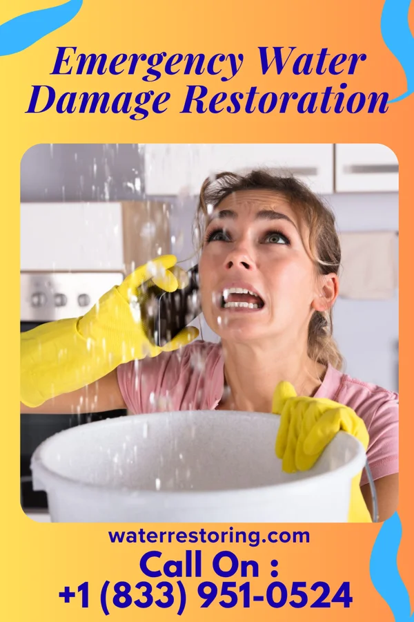 Emergency Water Damage Restoration in Fairview, WV