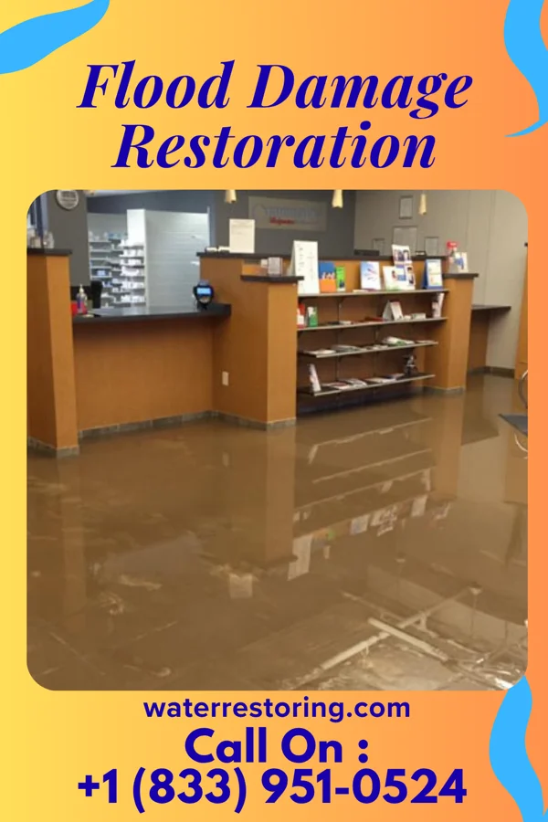 Flood Damage Restoration in Fairview, WV