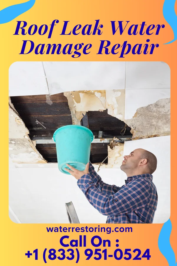 Roof Leak Water Damage Repair in Fairview, WV