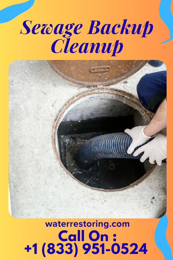 Sewage Backup Cleanup in Fairview, WV