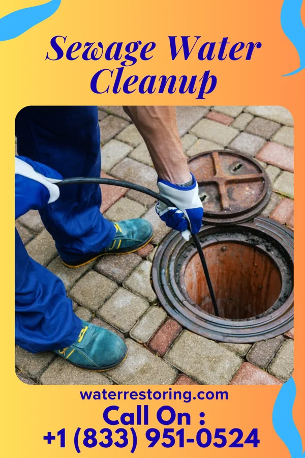 Sewage Water Cleanup in Fairview, WV