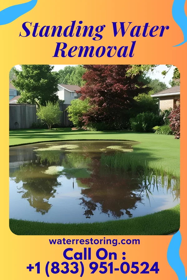 Standing Water Removal in Fairview, WV